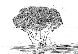 брокколі Розмальовки Для Друку